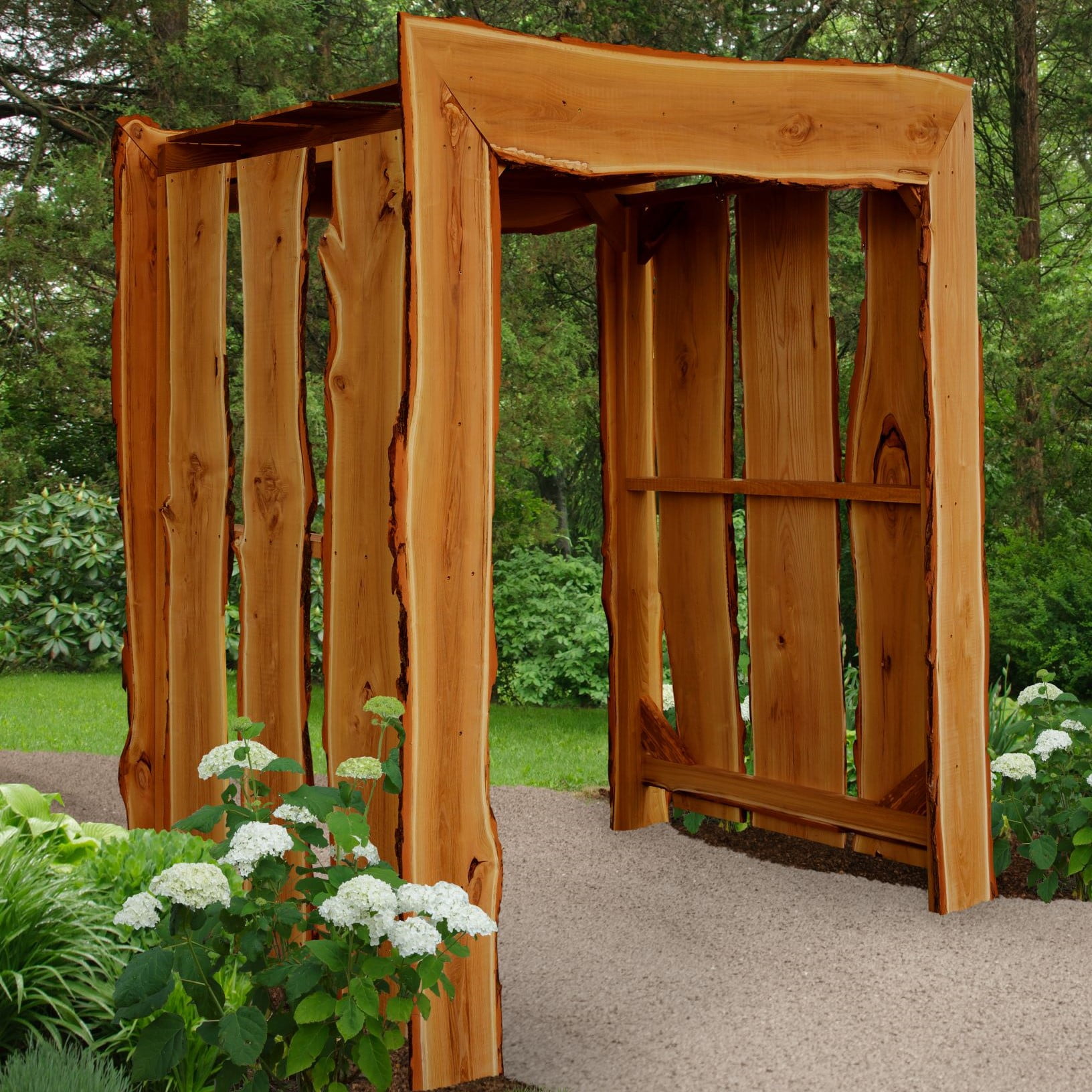 Live Edge Locust Appalachian Arbor