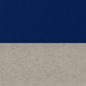 Navy Blue and Light Gray