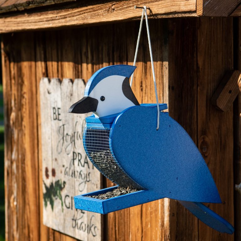 Bird Shaped Feeder Blue Jay