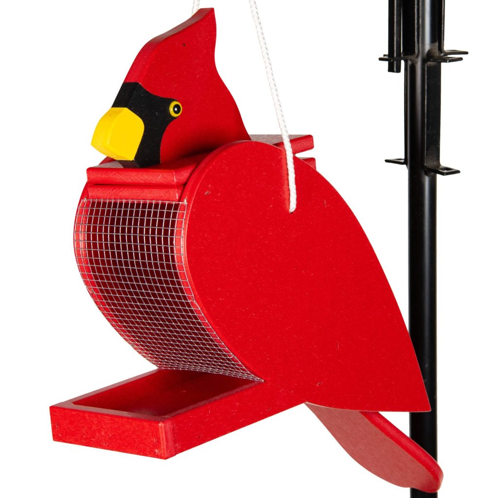 Cardinal