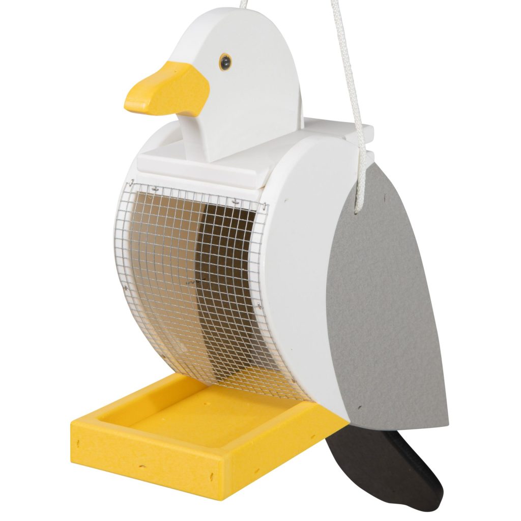 Seagull