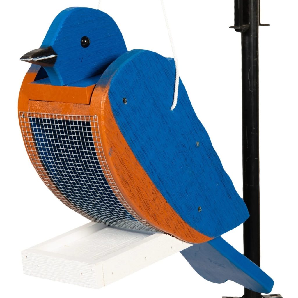 Bluebird