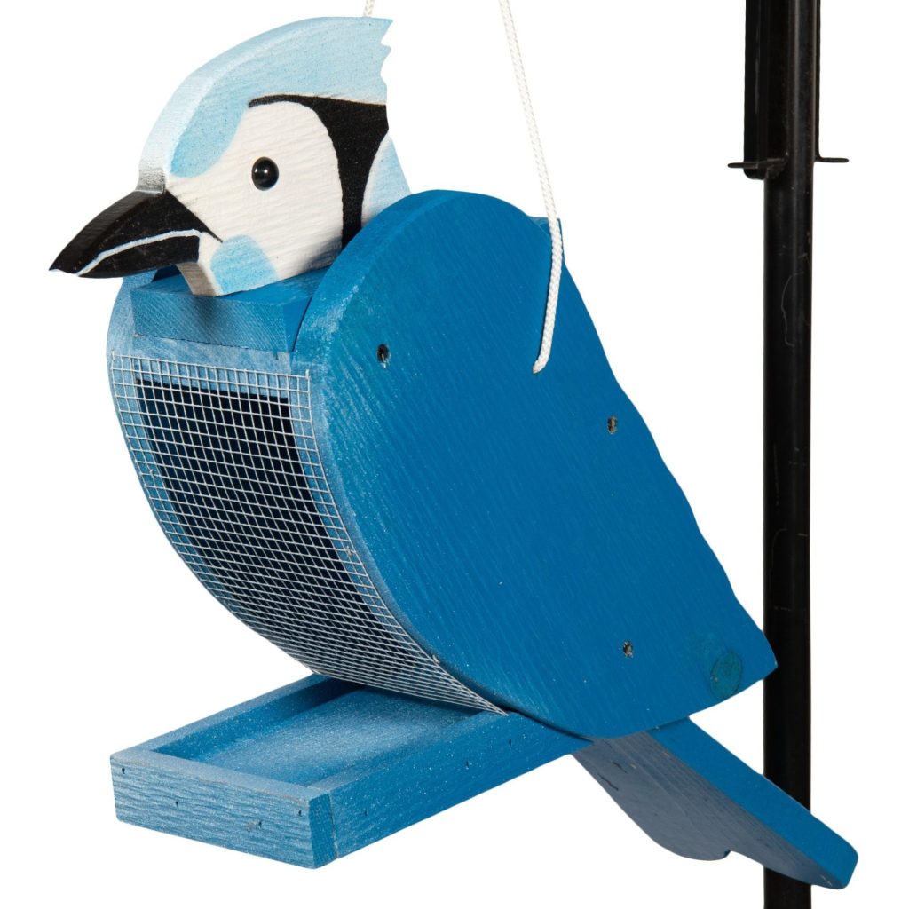 Blue Jay