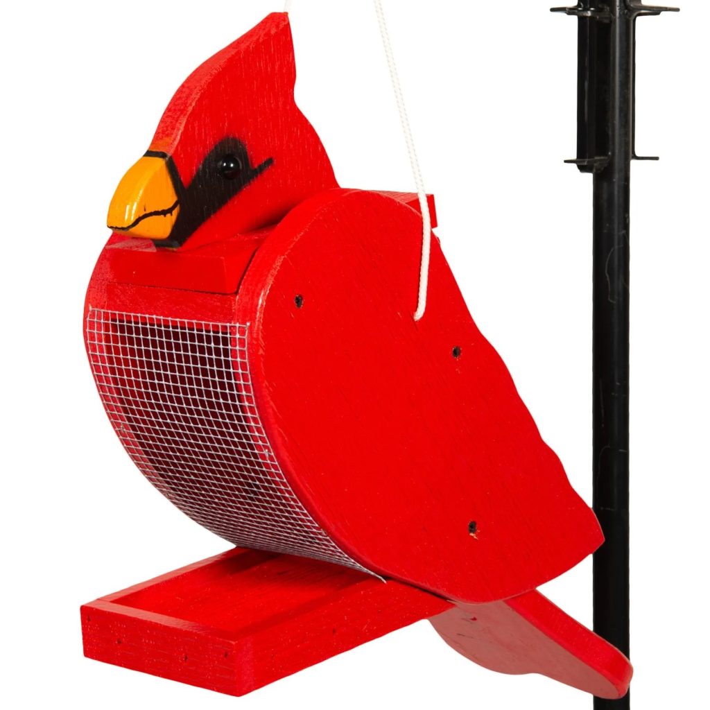 Cardinal