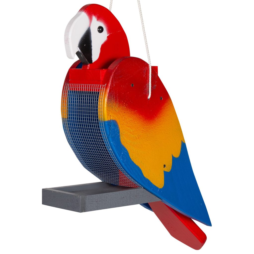 Macaw