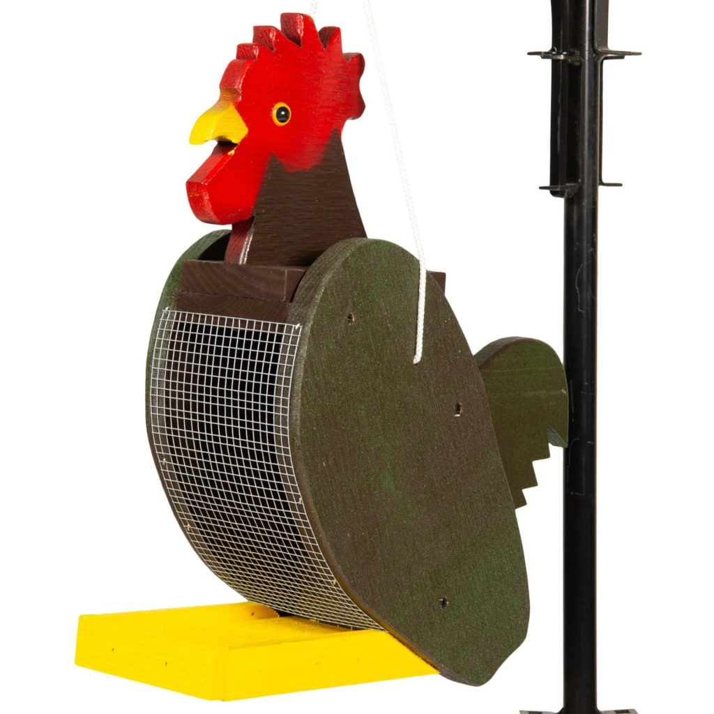 Rooster