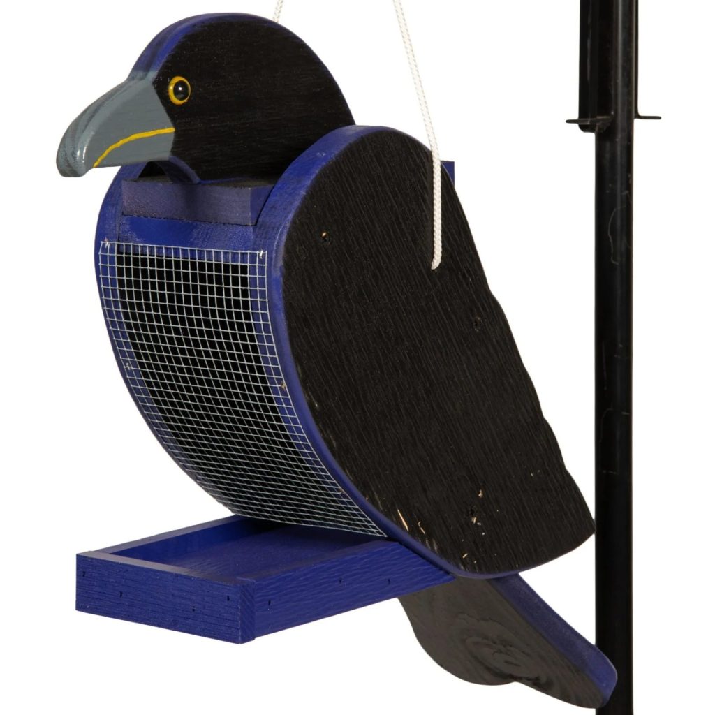 Raven