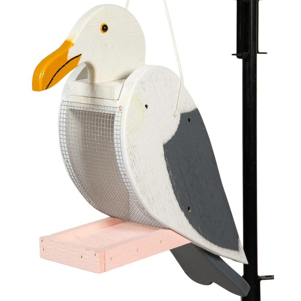 Seagull