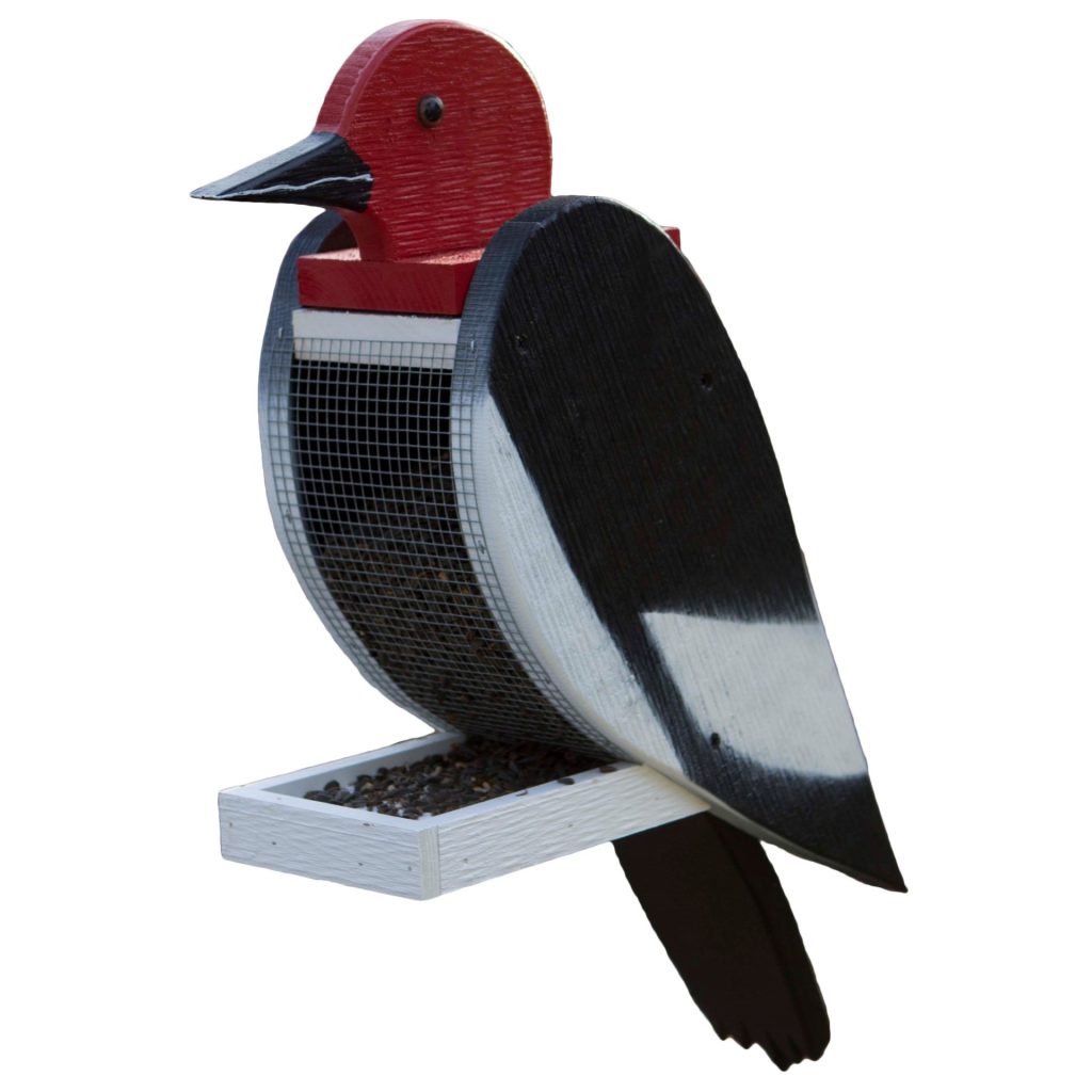 Woodpecker