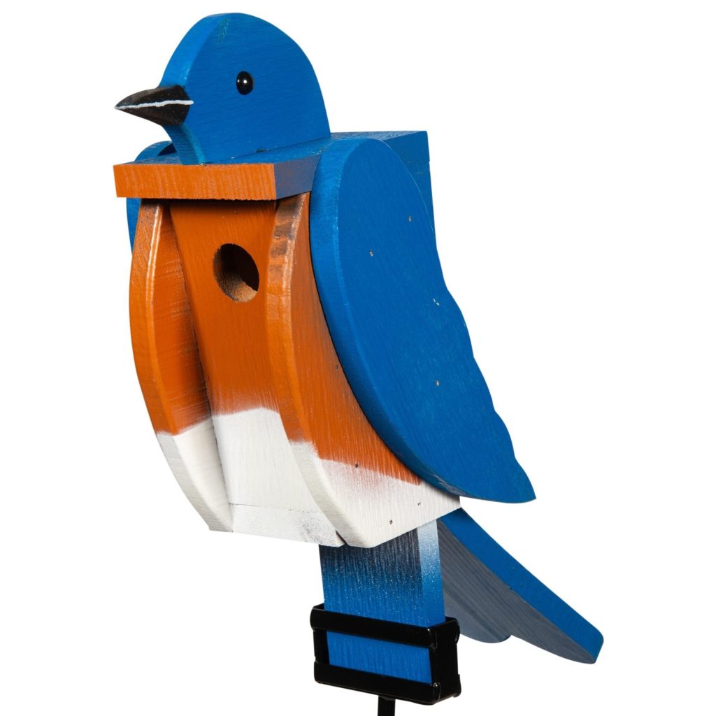 Bluebird