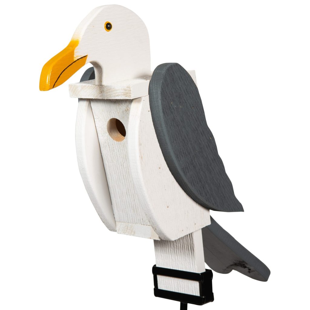 Seagull