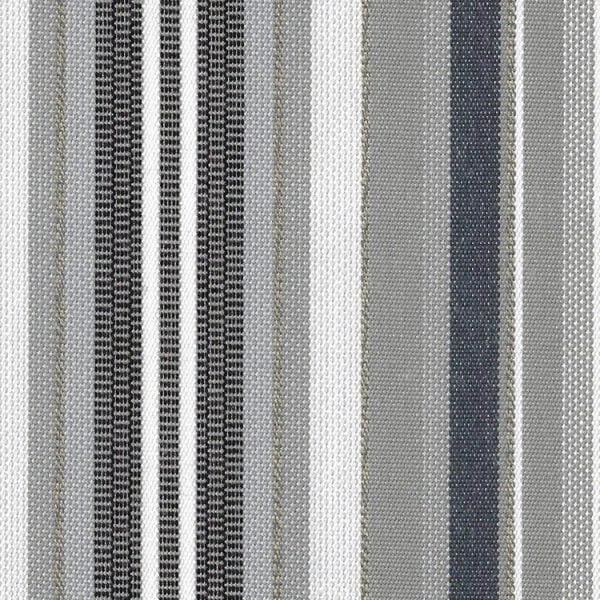 Gray Stripe