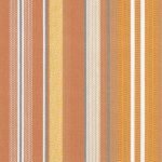 Orange Stripe
