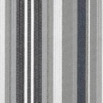 Gray Stripe