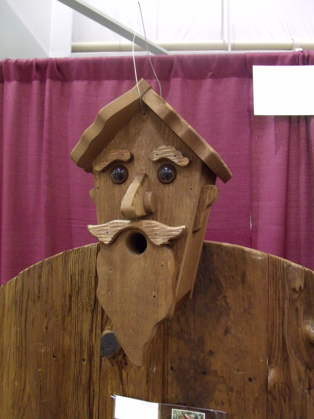 Rustic Barnwood WIZARD Bird House