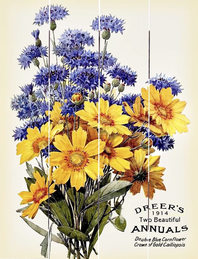 Wood Pallet Art – Dreer’s Two Beautiful Annuals
