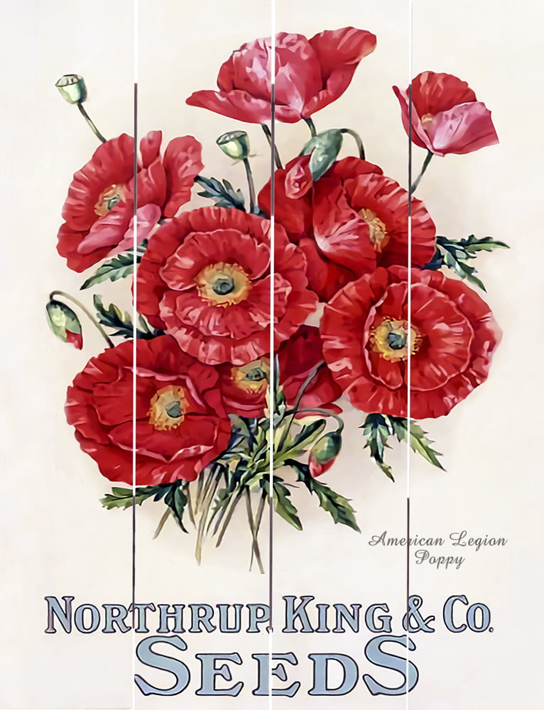 Wood Pallet Art – Northrup King Poppy