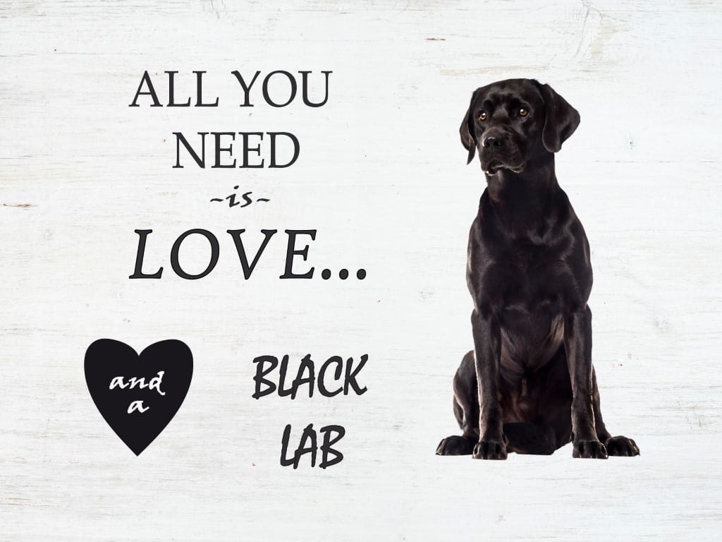 Wood Pallet Art - Love and a Black Lab