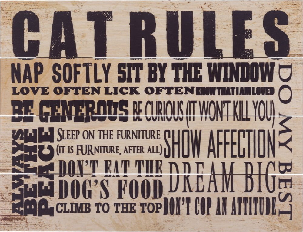 Wood Pallet Art – Cat Rules