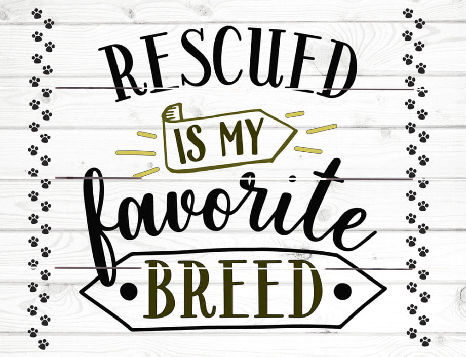 Wood Pallet Art – Rescued is My Favorite Breed