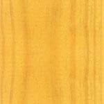 Golden Oak