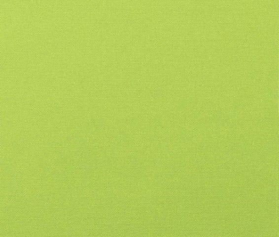 Canvas Macaw