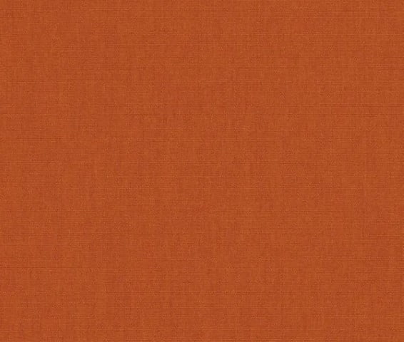 Canvas Rust