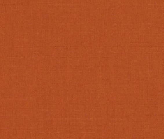 Canvas Rust