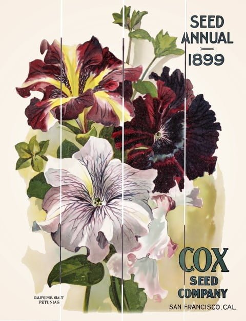 Wood Pallet Art – Cox Seed Company