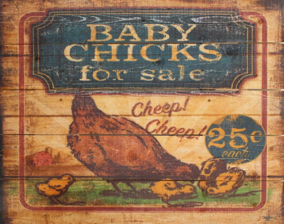 Wood Pallet Art – Baby Chicks for Sale