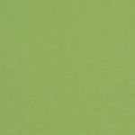 Canvas Ginkgo