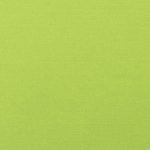Canvas Macaw 