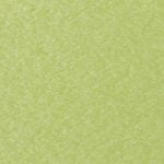 Kiwi Green