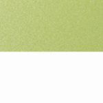 Kiwi Green on White