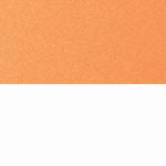 Mango Orange on White
