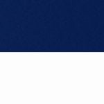Navy Blue on White