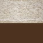 Seashell on Chocolate Brown