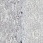 Speckled Maple