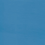 Caribbean Blue Paint