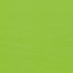 Lime Green Paint