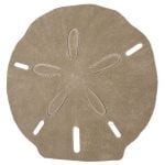 Sand Sand Dollar