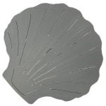 Weathered Atlantic Grey Shell