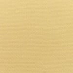 Canvas Wheat