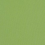Canvas Gingko