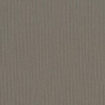 Spectrum Graphite