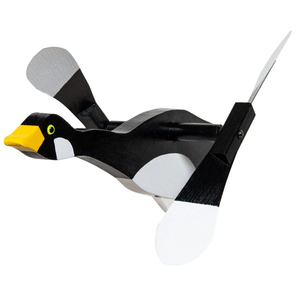 Canadian Goose