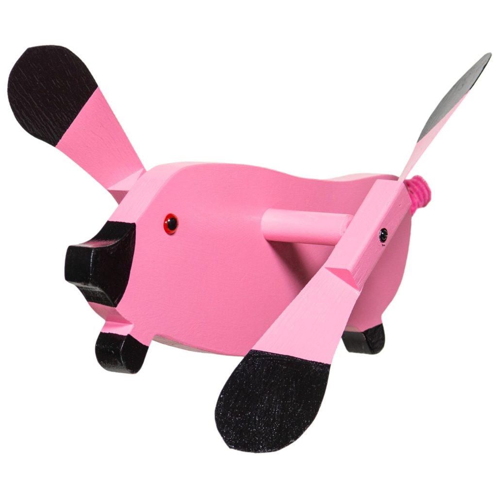 Flying Pig