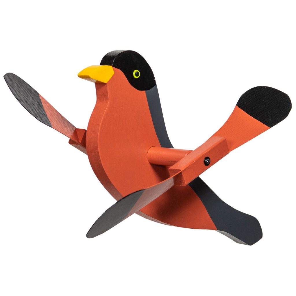 Robin