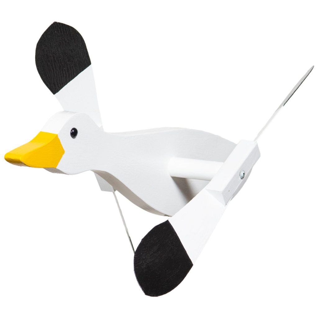 Snow Goose