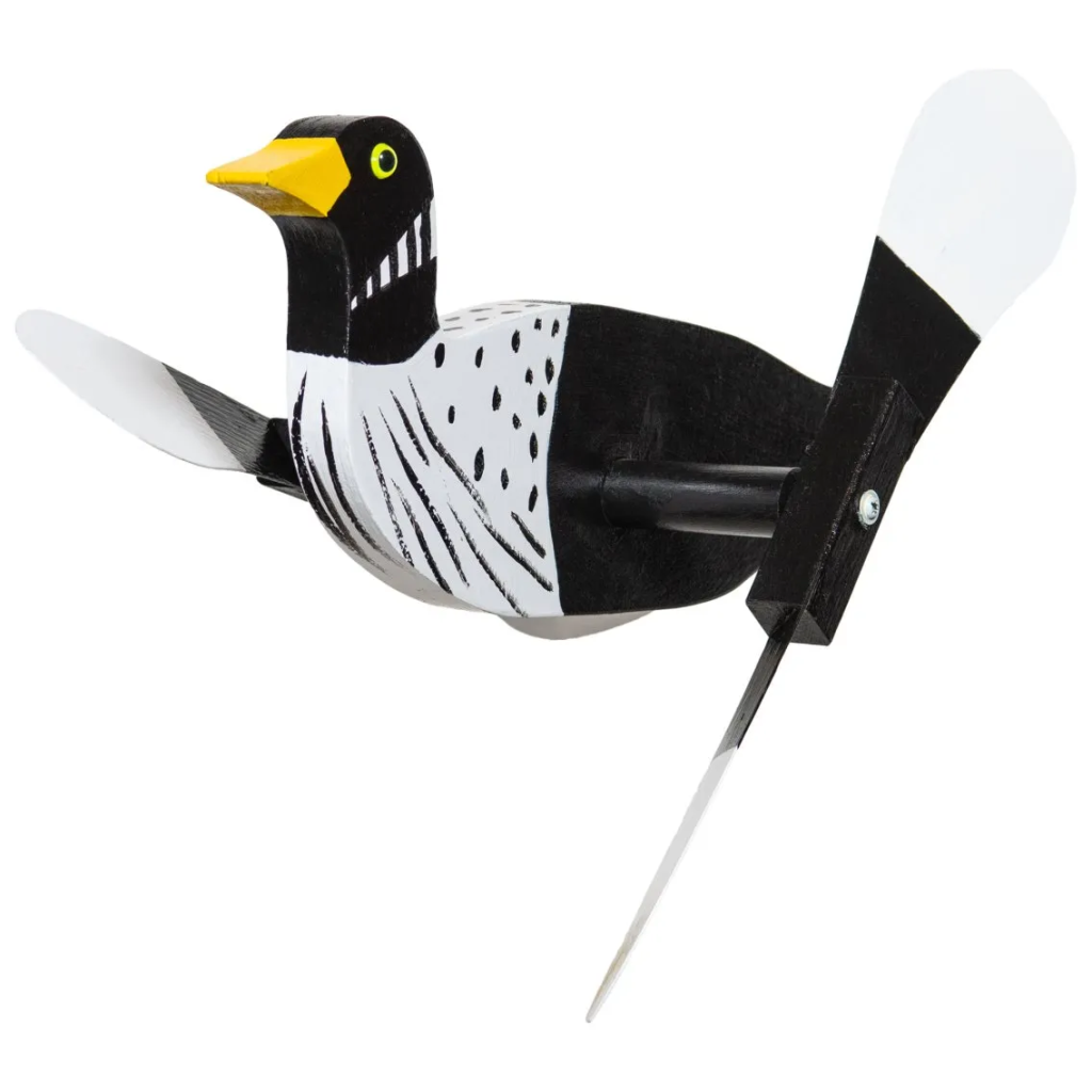 Loon